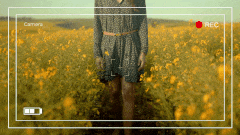 Camera Screen 1