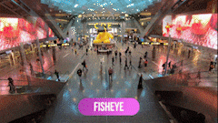 Fisheye 1