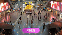 Fisheye 2