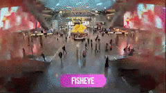 Fisheye 3