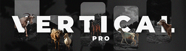Vertical Pro Pack