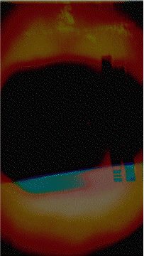 Burnt Film 1